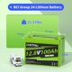 thumbnail image 3 of Batería LiFePO4 CHITOLI 12V 100Ah con BMS integrado, 3 of 7