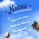 thumbnail image 3 of Desodorante Ambiental Aerosol Coco Vibes Lata, 315 ml, 3 of 6
