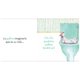 thumbnail image 3 of En el baño (edición cartoné) blanco, 3 of 4