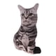 thumbnail image 2 of Soft Hugging Cushion Bed Sofa Headrest Kids Stuffed Cat Toy Blanco Y Negro, 2 of 5