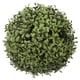 thumbnail image 2 of Bola de Pasto Buxus Premium de 25 cm, 2 of 2