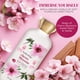 thumbnail image 2 of Body Wash 2 en 1 Bodycology Cherry Blossom 473ml, 2 of 3