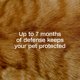 thumbnail image 3 of Collar antipulgas ADAMS para gato – 2 unidades ajustable, 3 of 9