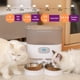 thumbnail image 2 of Dispensador Automático Comida Gato Wifi Doble Plato Blanco, 2 of 6