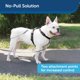 thumbnail image 5 of Arnés PetSafe 3 en 1 con correa de control de dos puntos para perros, 5 of 6
