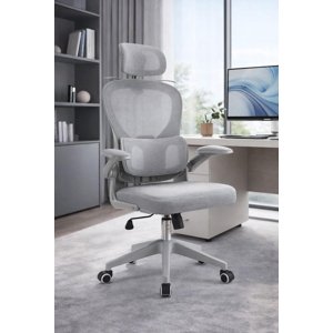Cosas Casa - Silla Ergonomica De Oficina Para Escritorio Boise Gris