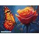 thumbnail image 2 of Kit de pintura con diamantes DIAMOND ART CLUB Glowing Monarch 45 x 33 cm, 2 of 4
