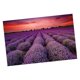thumbnail image 4 of rompecabezas 1000 piezas hijos adultos bricolaje rompecabezas regalo lavanda campo de flores, 4 of 4
