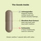 thumbnail image 3 of Suplemento OLLY Chill Adaptogen Mood Support 30 cápsulas, 3 of 3