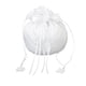 thumbnail image 1 of Satén Perla Rhinestone Boda Nupcial Dolly Bag Bolso Marfil 22.5x17cm, 1 of 2
