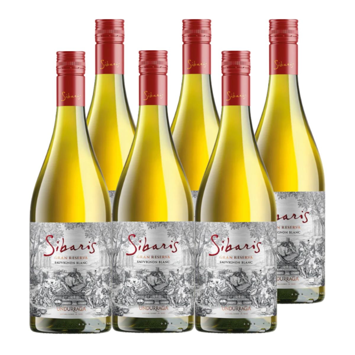 Sibaris Undurraga - 6x Vino Sibaris Gran Reserva Sauvignon Blanc 750cc
