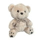 thumbnail image 1 of Oso De Peluche Clasico Para Niños Peluche De Oso 28cm, 1 of 1