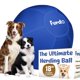 thumbnail image 1 of Pelota de Pastoreo Furdo 46 cm Azul para Perro, 1 of 7