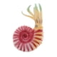 thumbnail image 3 of Simulación De Animales Del Océano Modelo Figura Juguetes Educativos Para Ni?os - Caracol De Mar Rosa, 3 of 5