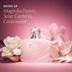 thumbnail image 2 of Perfume Estée Lauder Beautiful Magnolia Fleur Eau de Parfum, 10 ml, 2 of 7
