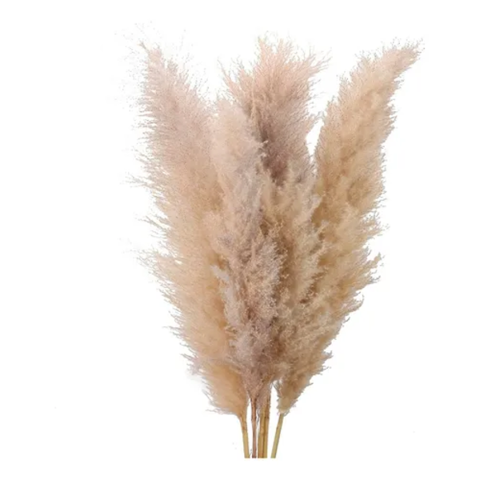 Genérico - Ramas Pampas Grass 3 Uds Decoración