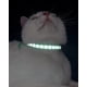 thumbnail image 5 of Collar reflectante para gatos con hebilla de seguridad y cascabel, collar ajustable para gatos, 19-32 cm negro, 5 of 5