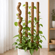 thumbnail image 1 of Kit Tutor De Musgo 20pcs Soporte Plantas Trepadoras 100cm, 1 of 9