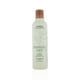thumbnail image 1 of Aveda - Champú purificante de romero y menta (250 ml), 1 of 2