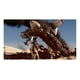 thumbnail image 2 of Uncharted The Nathan Drake Collection Ps4 / Juego Físico azul, 2 of 4