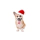 thumbnail image 1 of Gorro de Navidad para Mascotas Viejito Pascuero, 1 of 2