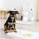 thumbnail image 2 of 40 Pañales Sabanillas Aroma Adhesivo Mascotas Perros 60x90cm, 2 of 7