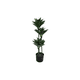 thumbnail image 1 of Planta Artificial 72cm, 1 of 2