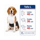 thumbnail image 3 of Traje De Huaso Chileno Para Perro Talla L, 3 of 10