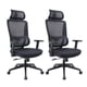 thumbnail image 1 of 2 Sillas Escritorio Oficina Ergonómica Ergotech LEVO, 1 of 7