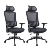 2 Sillas Escritorio Oficina Ergonómica Ergotech Levo