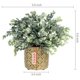 thumbnail image 5 of Planta de eucalipto artificial MyGift con modernas macetas de hormigón, 5 of 7