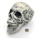 thumbnail image 1 of Figura decorativa calavera diseño realista crema, 1 of 2