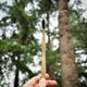 thumbnail image 3 of Cepillo Dental Biobrush Bambu Pro Spiral Suave, 3 Un, 3 of 3