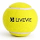 thumbnail image 2 of Pelotas de tenis para cricket LIVEVIE, 6 unidades, 2.5" de alta visibilidad, 2 of 7