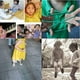 thumbnail image 3 of 2 cuerdas elásticas para saltar, juego de fitness para niños al aire libre., 3 of 5