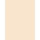 thumbnail image 1 of Cartulina Pacon 5120 de Gramaje Pesado 100 Hojas 45 cm x 60 cm Manila, 1 of 1