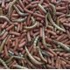 thumbnail image 2 of Tropifit Atelerix comida para Erizo 300Gr, 2 of 2