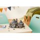 thumbnail image 2 of Puzzle 3D Wrebbit Harry Potter Hagrid's Hut 270 piezas, 2 of 2