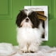 thumbnail image 2 of Puerta de perro Pequeño para Climas Extremos PetSafe, 2 of 5