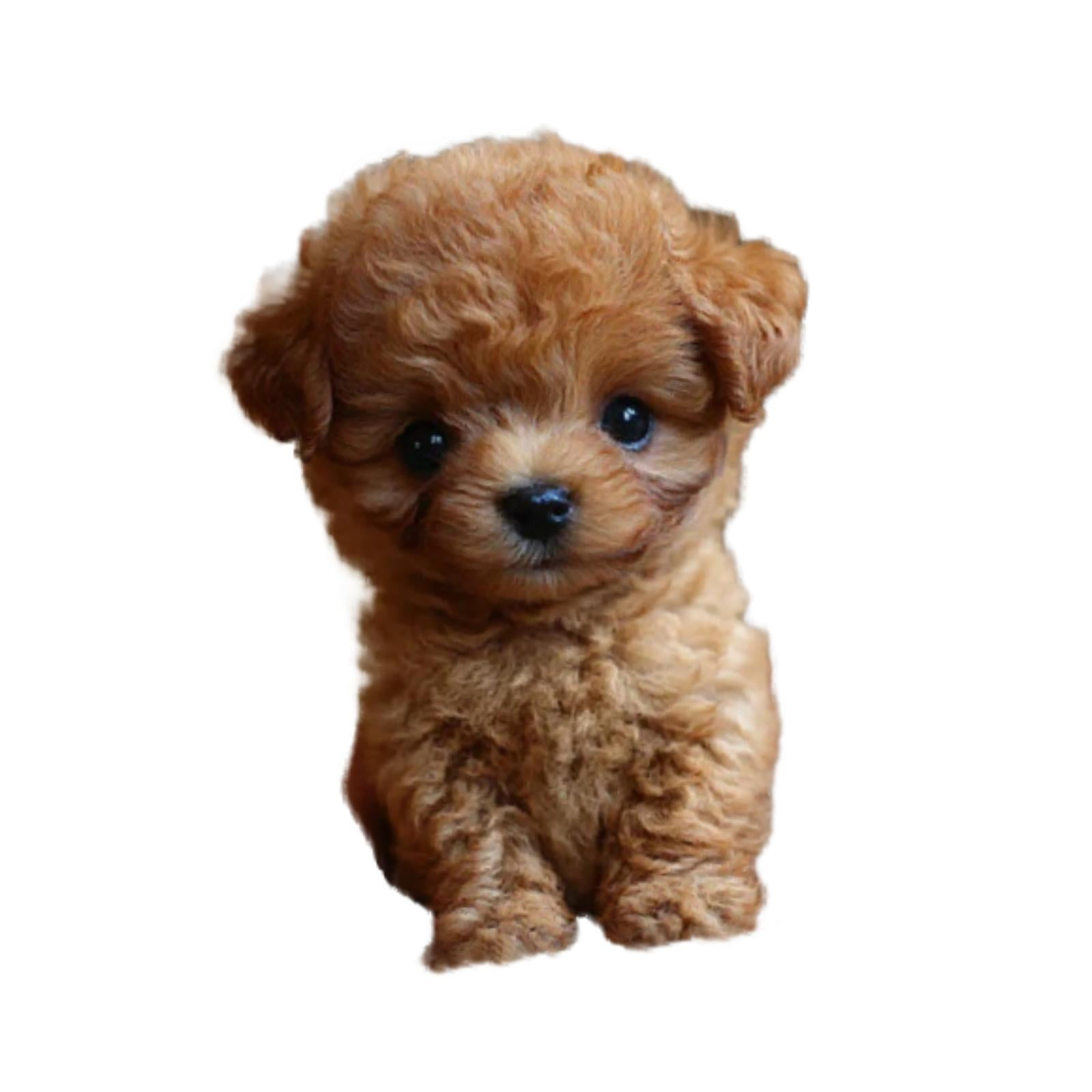 Bothyi - Juguete Electrónico De Peluche Para Perro, Que Camina Y Mueve La Cola, Bonito Para Mujeres, Niños Y Adultos, Color Marrón