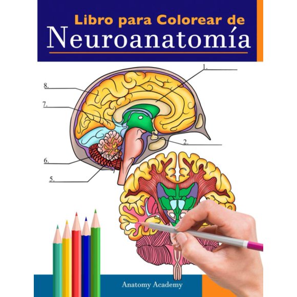 Libro de neuroanatomía para colorear – Muze Publishing