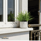thumbnail image 5 of Hierba Planta Artificial con Macetero Decoración SunnyYard, 5 of 5