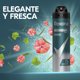 thumbnail image 3 of Desodorante Aerosol Rexona Men Hombre Hombre, 150 ml, 3 of 4