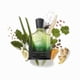 thumbnail image 4 of Perfume Creed Original Vétiver Woody Fresh de 100 ml para él y para ella, 4 of 7