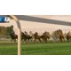 thumbnail image 3 of Videojuego Phar Lap Horse Racing Challenge para Xbox One, 3 of 7