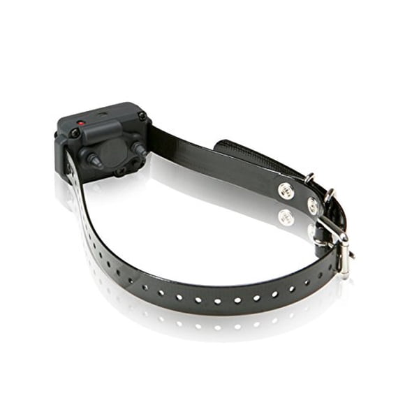 Collar Dummy Dogtra Pequeño para Modelos de Receptor