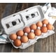 thumbnail image 4 of Cartones de huevos MT Products con pulpa natural impresa, 1 docena XL (25), 4 of 9