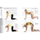 thumbnail image 3 of Yoga para principiantes, 3 of 5