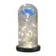 thumbnail image 3 of Galaxy Rose Flowers Forever Rose Luz LED Colorida En Estilo Domo De Vidrio, 3 of 3