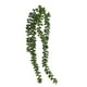 thumbnail image 1 of Plan Artificial Suculenta Colgan Artificial Decorativas 78cm, 1 of 2
